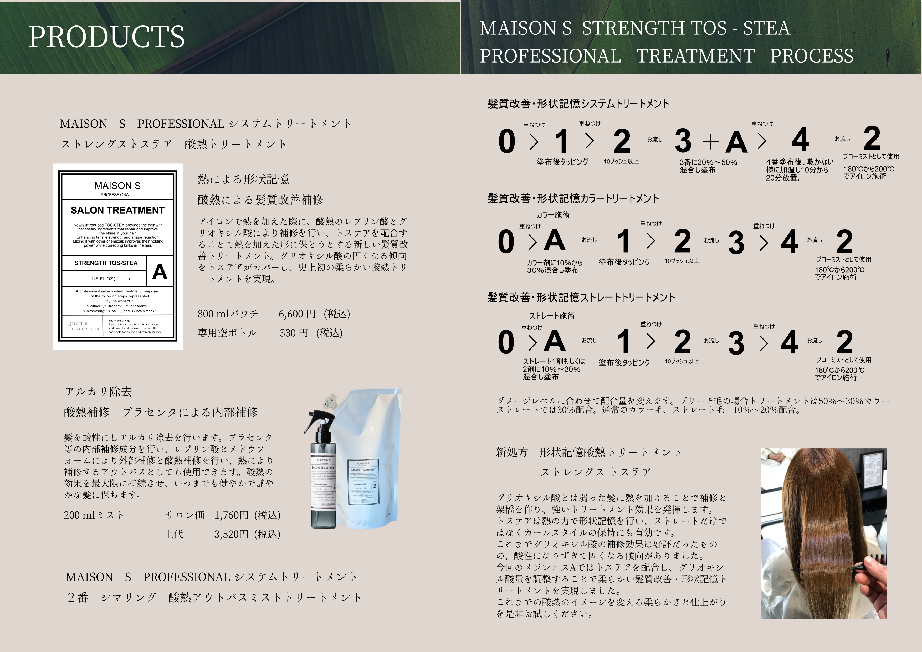 STRENGTH TOS-STEA pamphlet 02